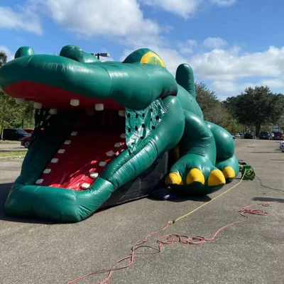 Gator Hide and Slide