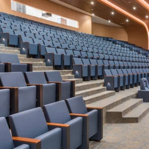 Auditorium/Theatre